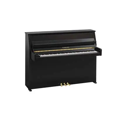 Yamaha B10 PE